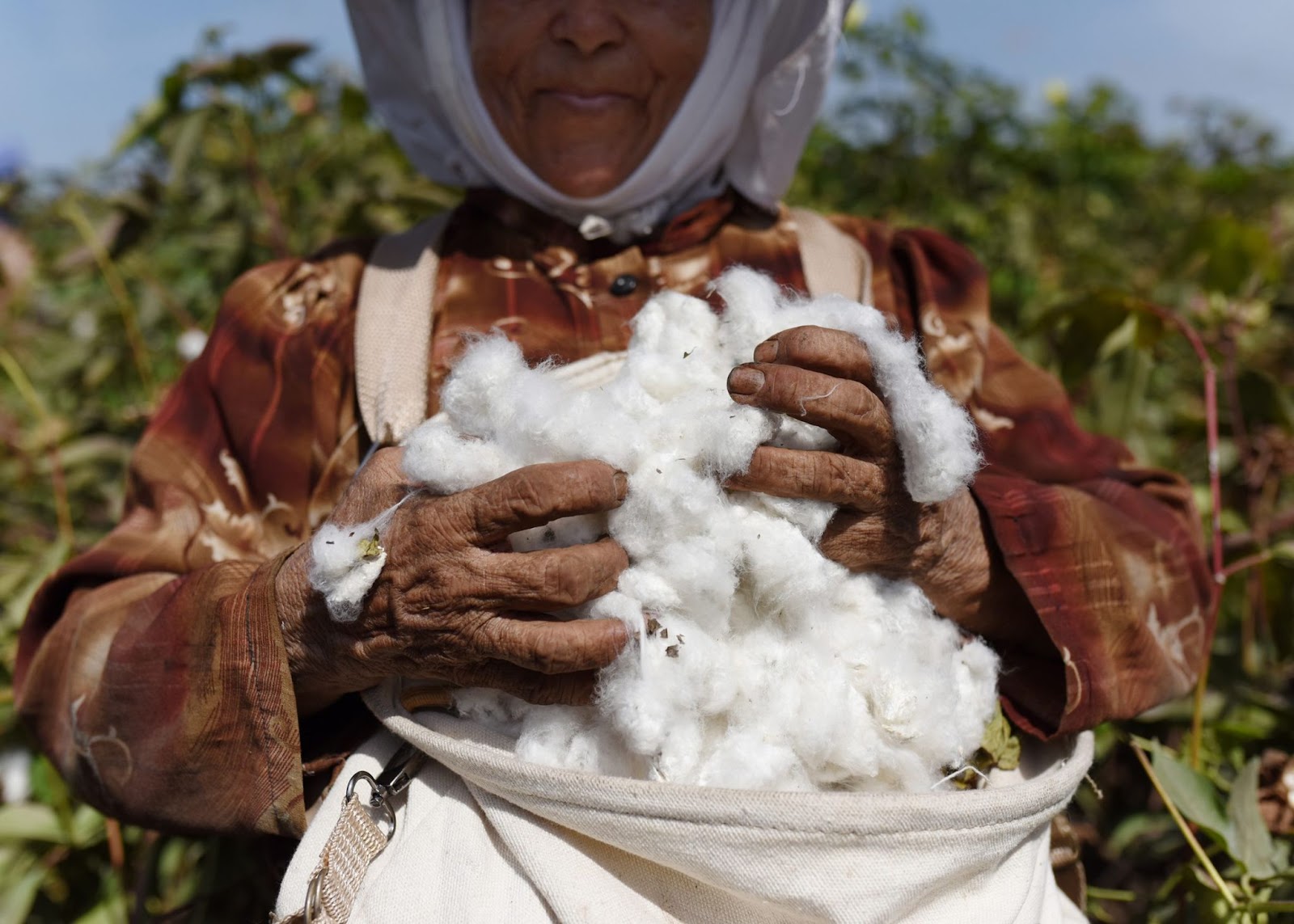 BCI Cotton chất liệu tiềm năng cho nỗ lực xanh hóa ngành thời trang toàn diện-7.jpg