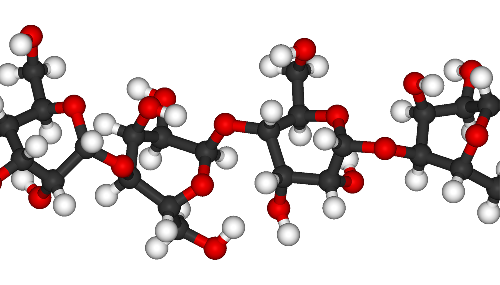 Cellulose là gì-1.png
