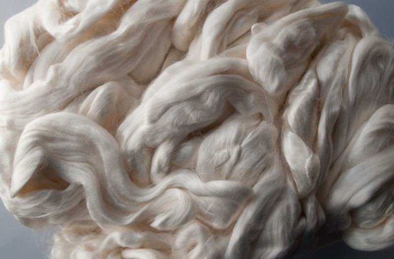 Cellulose là gì-2.jpg