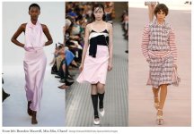 MÀU PETAL PINK TRENDING 2025