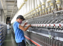 Thị trường giá xơ sợi từ VITAS