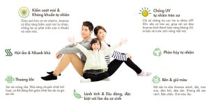 GIỚI THIỆU VỀ SỢI DỨA ANANAS CỦA CÔNG TY GREENYARN