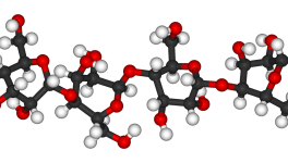 Cellulose là gì?