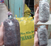 Meo bên e bao vàng có chữ "Meo nấm rơm Thành Tài" nha mọi người. Meo bên e không có phân loại gì nha.