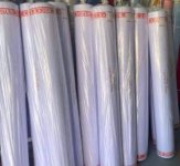 Sỉ lẻ Kate trắng silk USA 9828 ánh xanh