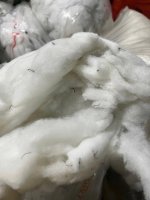 Bông phế, bông tơi, silic , xơ 7d-15d sll