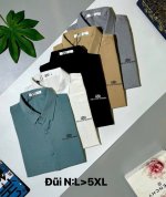 Sale Sơ mi đũi xịn