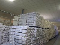 SẴN SỢI OE CVC 20/1 HÀNG CHUẨN ĐẸP