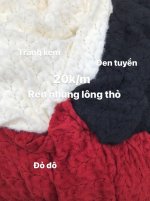 ren nhung lông thỏ