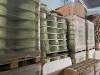 Bán 10 tấn sợi 50/24 (hàng Thái Lan)