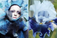 Sáng tạo thiên nhiên truyền cảm hứng cho thời trang