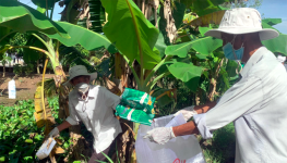 Xuất khẩu dệt may sụt giảm vì thiếu tái chế