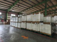 NYLON FDY 70D/24F WHITE ( SD )