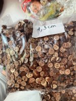 Cúc gỗ dừa em có sll