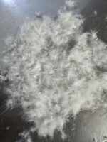 Bên em Thu mua cả hàng tồn lông vũ các loại từ 50/50 đến 90/10 giá tốt