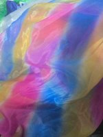 Kính organza cầu vồng em còn cây nhỏ