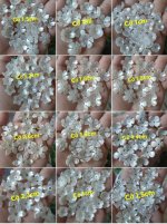 Hoa ngọc trai hàng chính phẩm