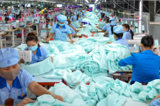 Công ty may 50 tuổi có doanh thu chưa tới 5 triệu mỗi ngày