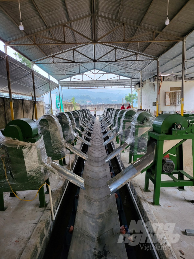 Người đặt nền móng cho hệ sinh thái từ sợi chuối Việt Nam-2.jpg