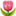 ổ chức sự kiện PHS là đối tác lý tưởng-1.png