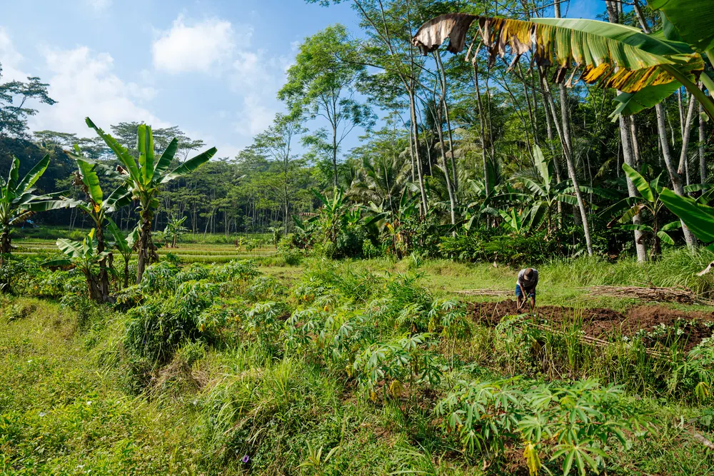 SukkhaCitta và một định nghĩa khác về hạnh phúc-7.webp